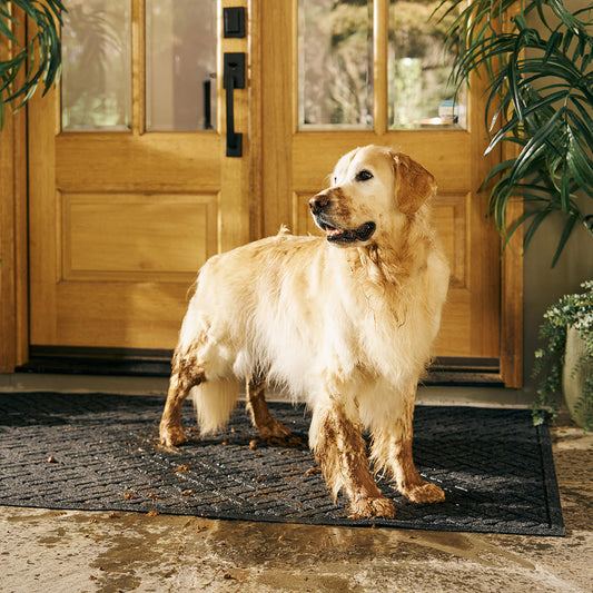 The Best Door Mat You’ll Ever Own: Why WaterHog Mats Are Worth It